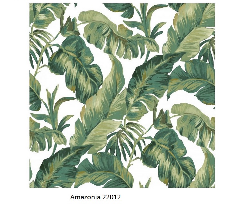 Papel de Parede Amazonia 22012