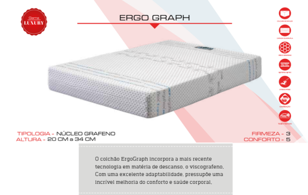 MF – Ergo Graph